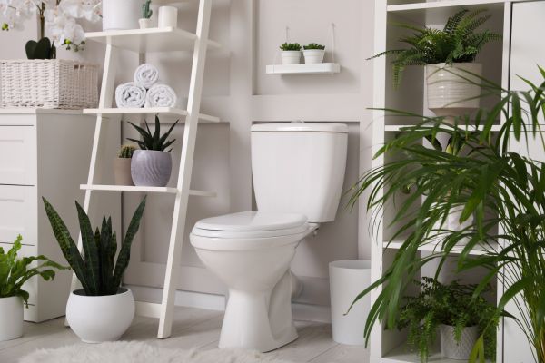 Cost of Toilet Repair in Norristown