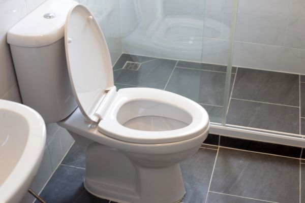 Cost of Toilet Replacement in Norristown