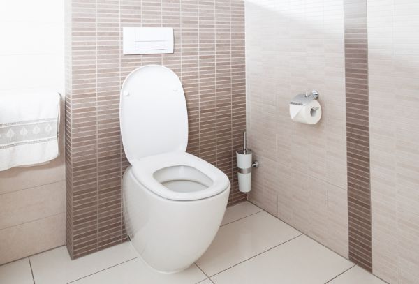 Cost of Toilet Plumbing Installation in Norristown