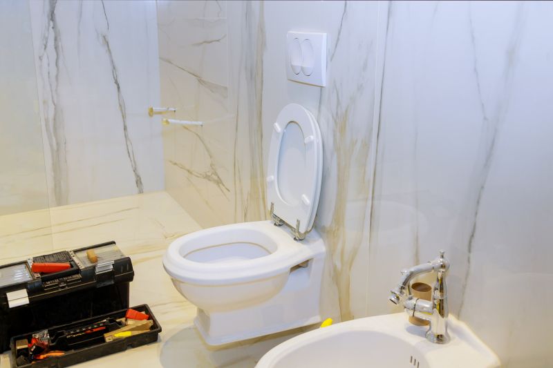 Toilet Removal